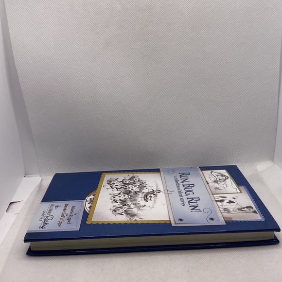 Run, Bug, Run! A Collection of Short Stories by Marie Rippel All About R… - Picture 12 of 14